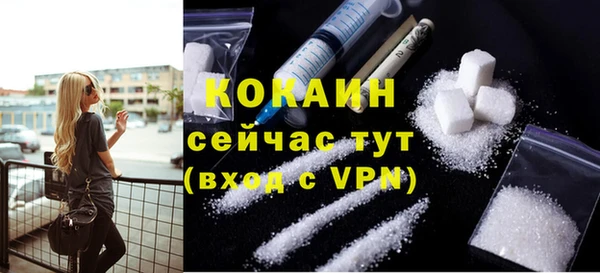 ECSTASY Белокуриха